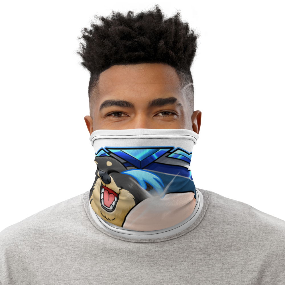 blue_squadron / Streamlabs